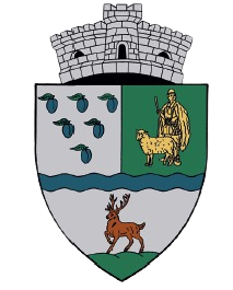 Customer logo